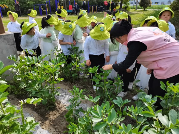 a6f53fbb3e504da59c0a56cdc38f567f.jpg a6f53fbb3e504da59c0a56cdc38f567f.jpg